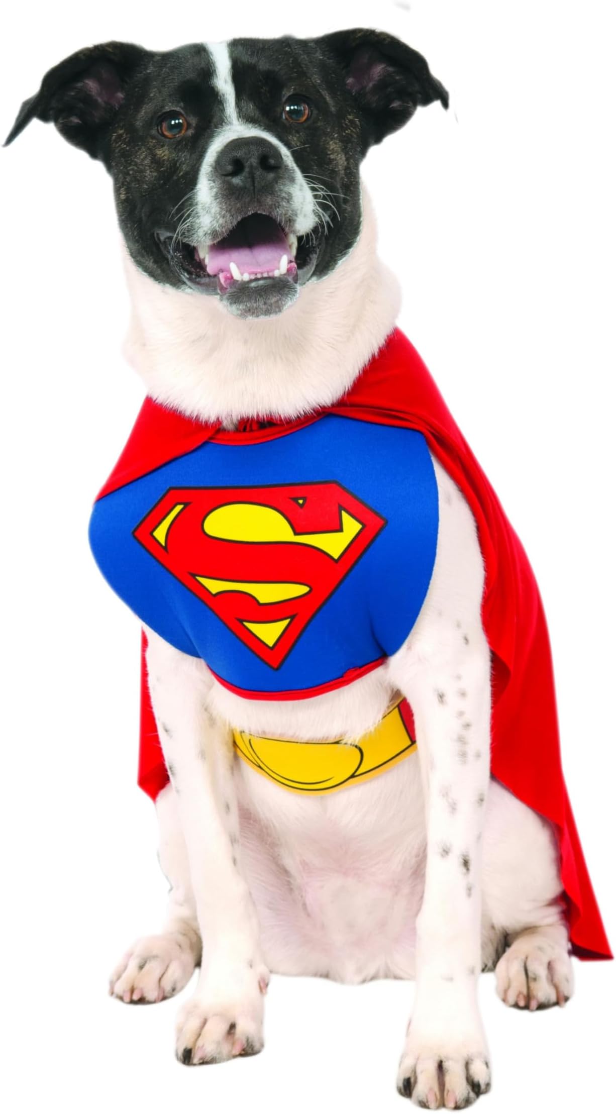 Rubies Official Pet Dog Costume, Superman Halloween Halloween