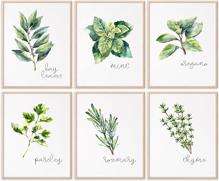 Kitchen Herbs Art Prints - Botanical Prints - Set of 6 - Unframed - 8x10s | Dining Room Decor - Gifts for Chef or Cook - Restaurant Decor - Rosemary, Thyme, Mint, Parsley, Oregano, and Bay Leaves