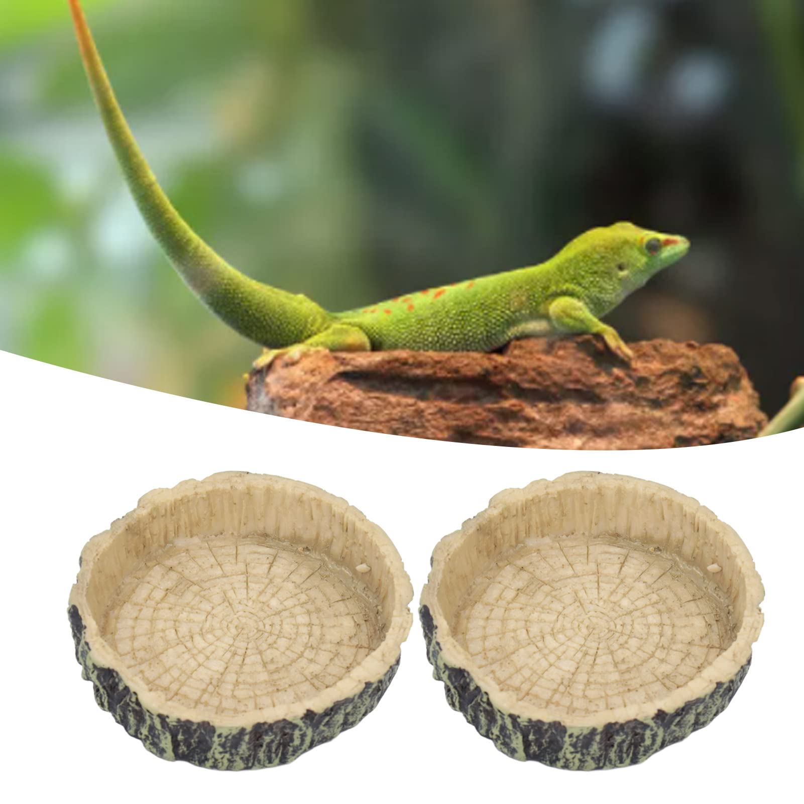 Ciotola Per Rettili - Cibo E Acqua Per Lucertole, Tartarughe E Animali Esotici - Design A Roccia Con Superficie Liscia