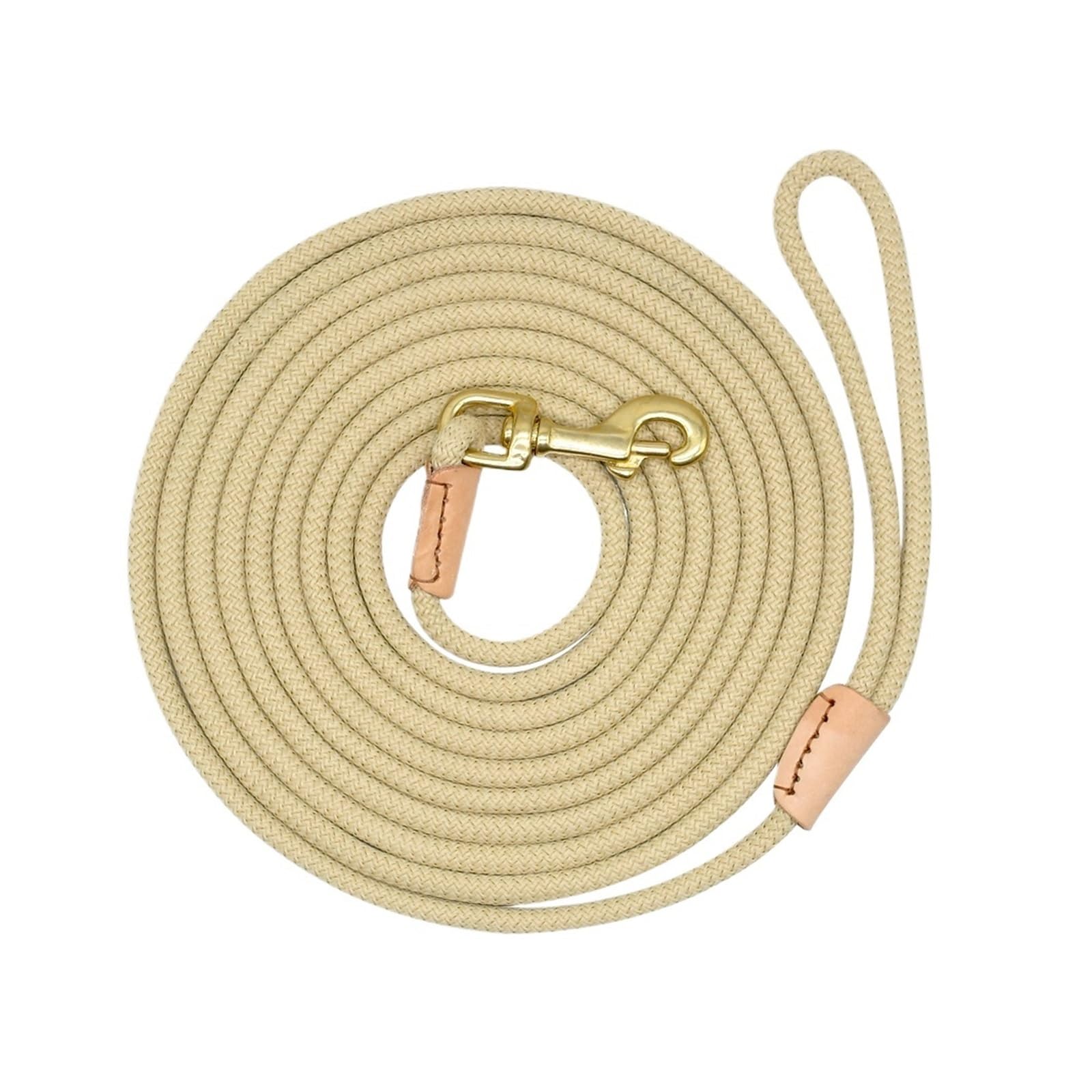 Laisse nylon chien 10m longue course à pied entraînement marche