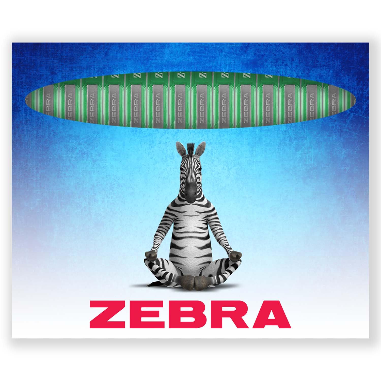 Zebra Pen Z-Grip Retractable Ballpoint Pens, 1.0mm Nib, Pack of 16, In Envelope Gift Packaging, School, Writing, Work - Image 2