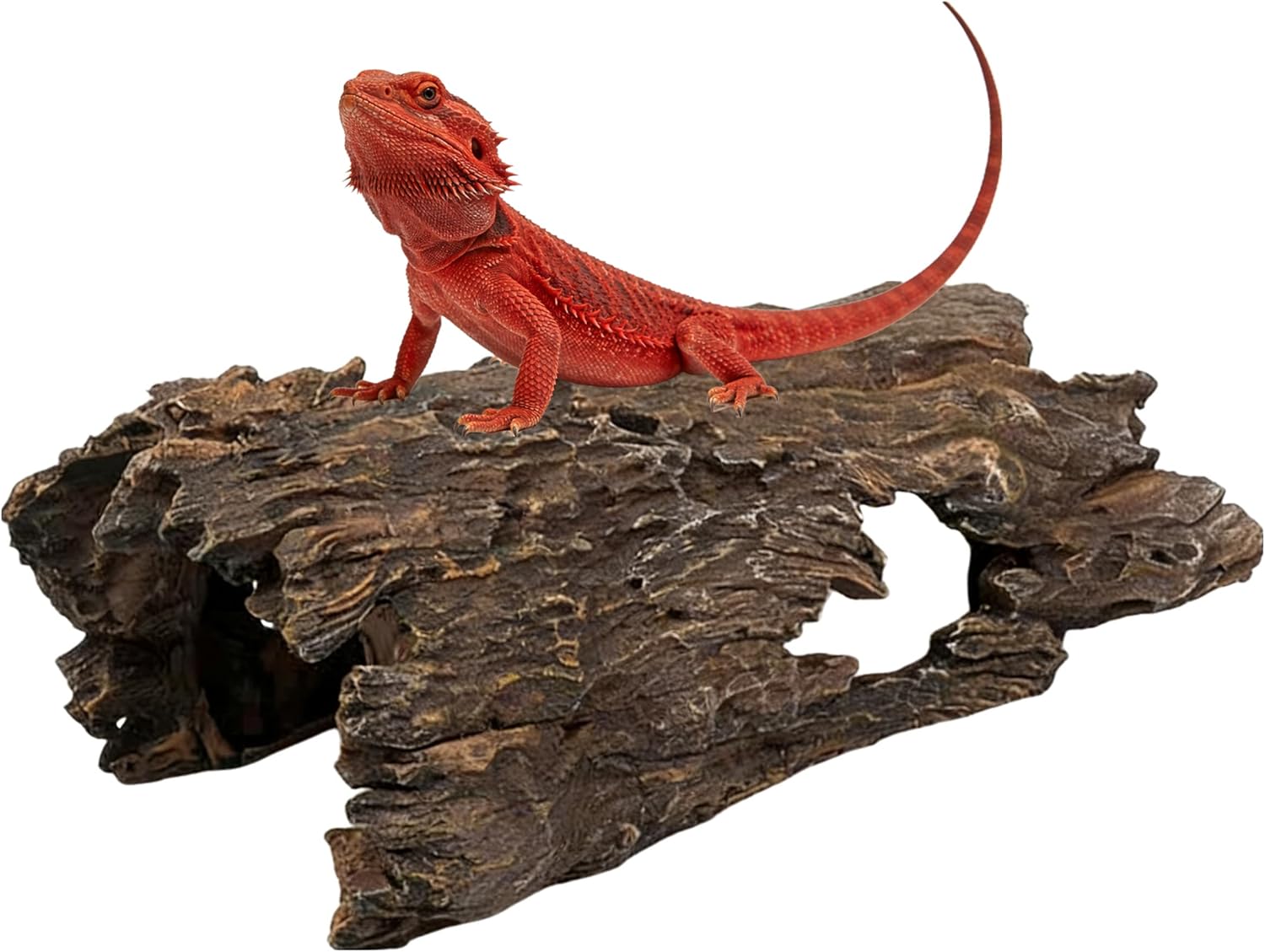 Large Beard Dragon,Lizard and Reptile Hide,Fish Tank Accessories Hides,Aquarium Decor for Betta Fish,Shrimp,Hermit Crabs,Spiders,Mice,Leopard Geckos,Toads and Frogs