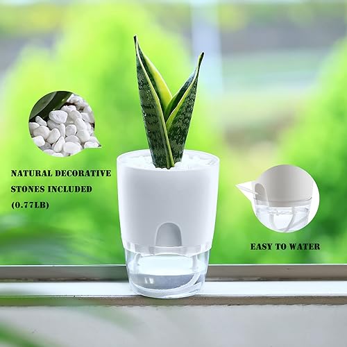 Miniatura 3 de Planterhoma Macetas de riego automático de 6 pulgadas, color blanco, interiorexterior, cuerda de algodón incluida