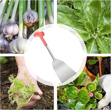 Shovel for Digging, Garden Shovel, Garden Cutter, Hand Shovel for Gardening, Lawn, Landscaping, Mushroom Collecting, Outdoor Field, Winter Plants, Household