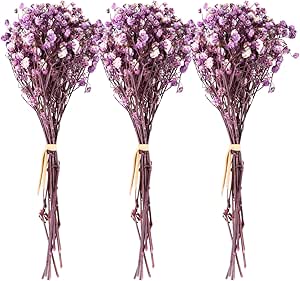 10 Mazzi Di Fiori Secchi Naturali - Per Decorazione Casa E Fai Da Te