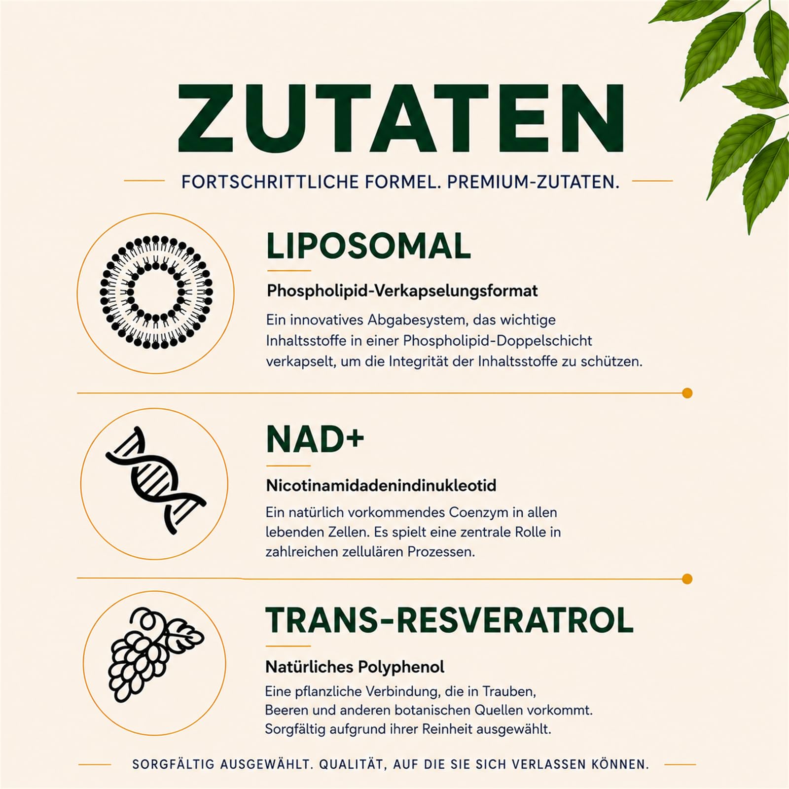 Liposomales NAD+ Trans-Resveratrol 800 mg Softgels, überlegene Alternative, Effizienter als NR, Hohe Absorption, 60 Softgels