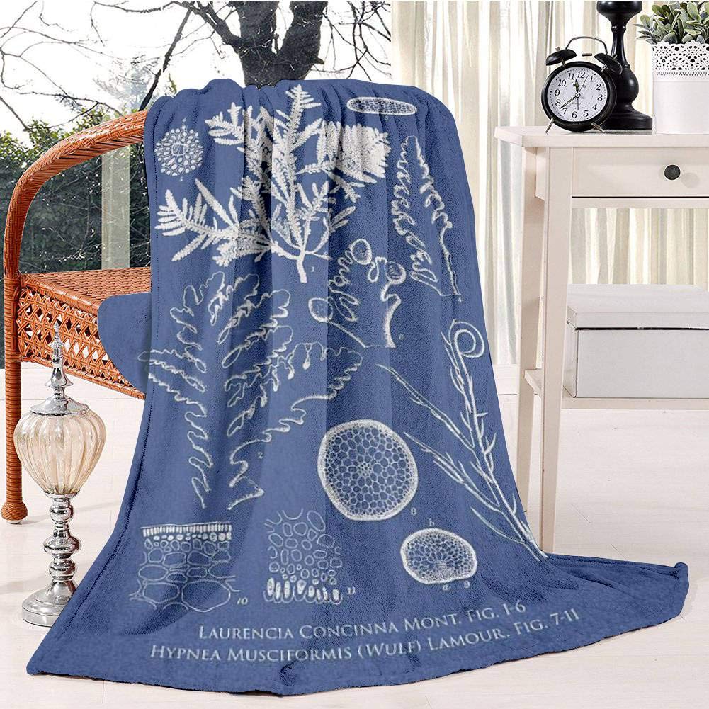 Laurencia Concinna And Hypnea Musciformis Bed Blanket Plush Velvet Soft Warm Blanket Lightweight Microfiber Cozy Blanket Christmas Blanket for Bed Couch Chair Sofa, 130x150cm