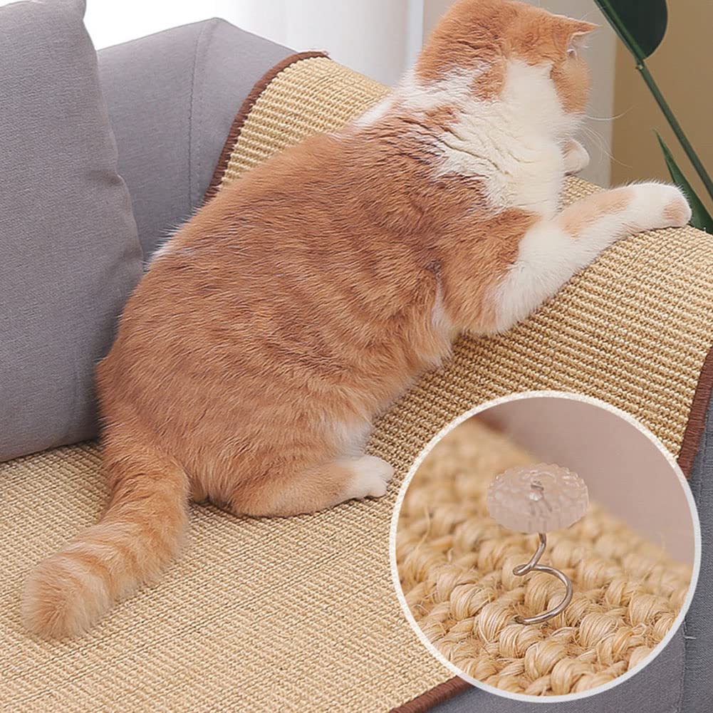 Savic Clean Cat Lettiera Per Gatti Con Coperchio - Beige/Marrone, Con Filtro Carbone Attivo - Foto 10