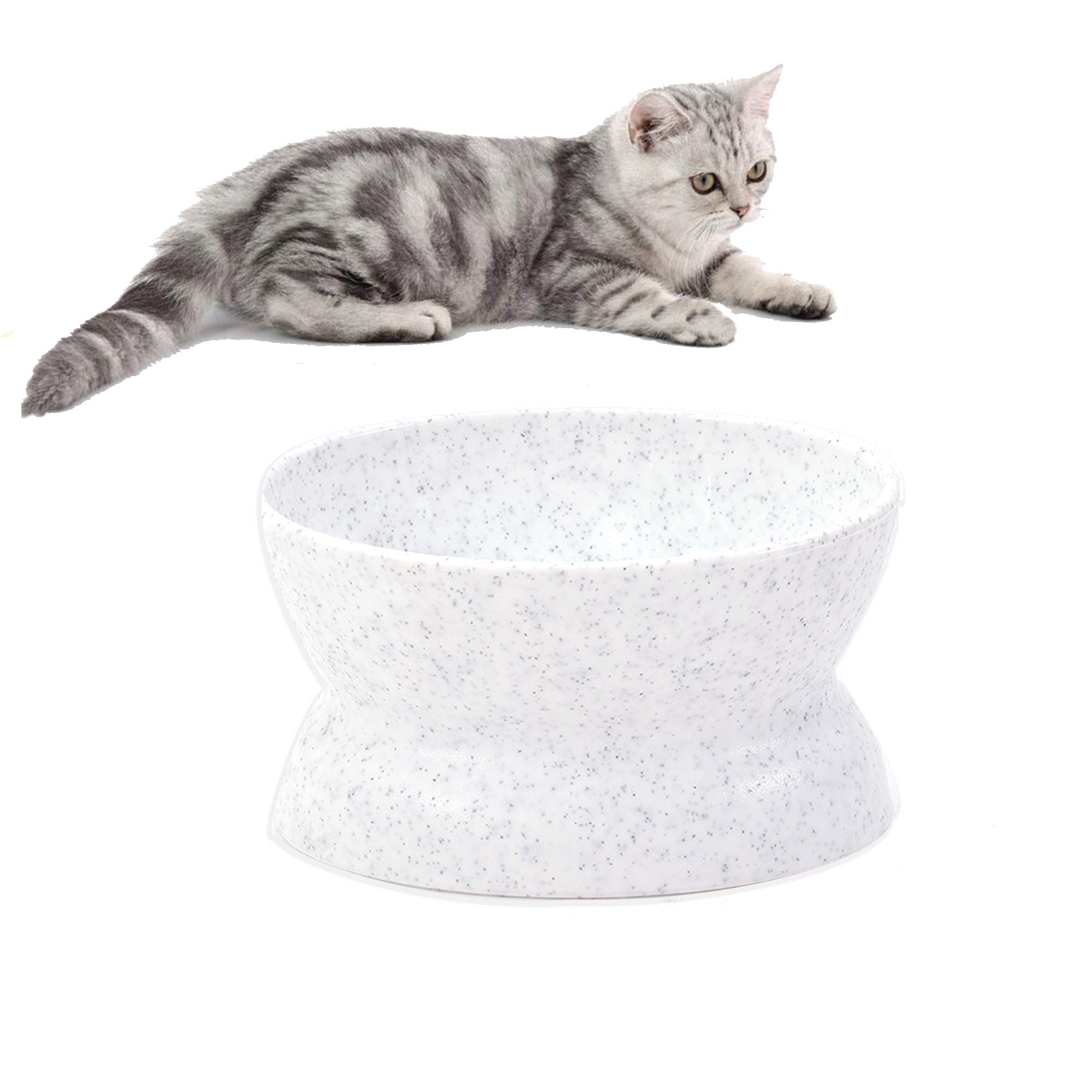raised cat water bowl