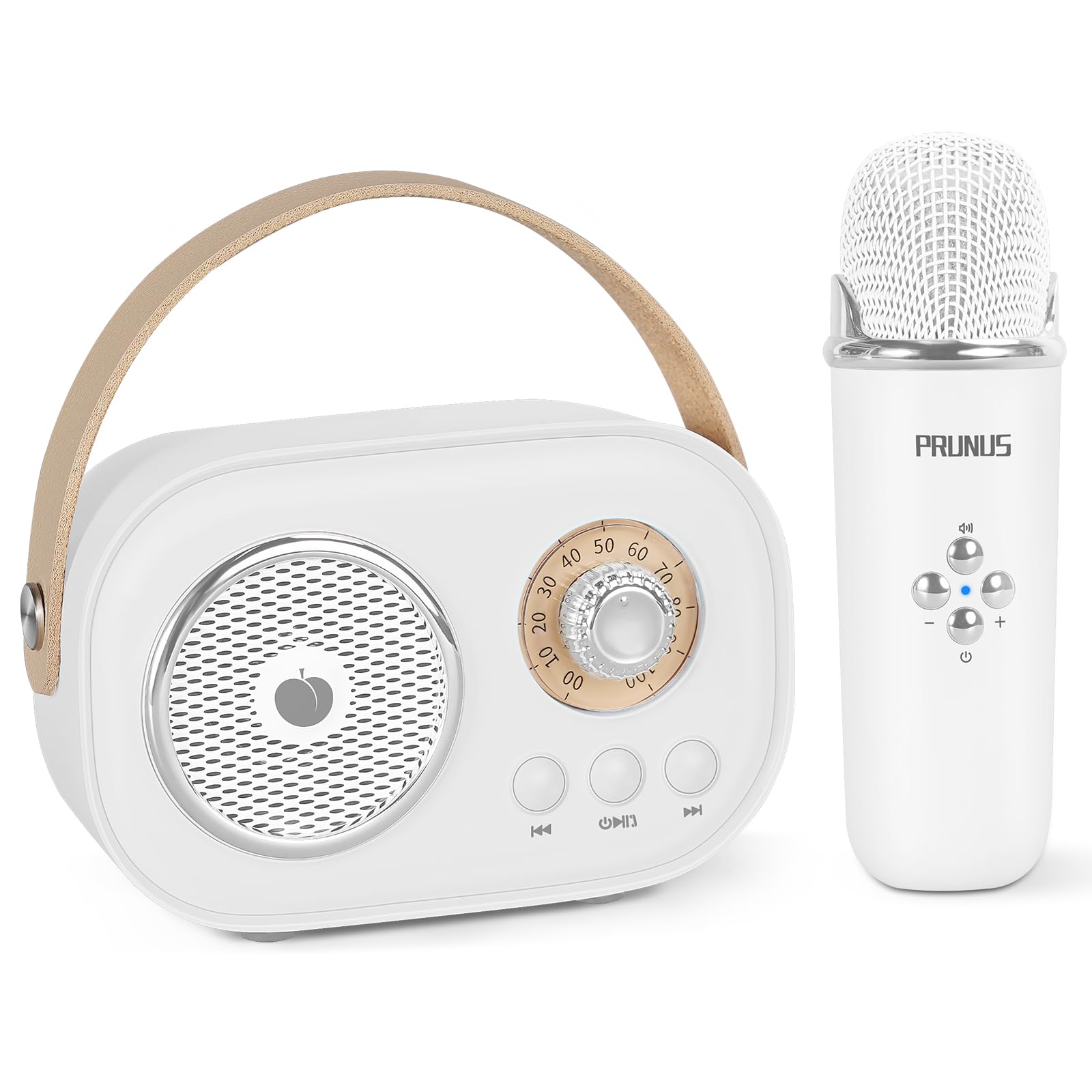 Amazon.com: Mini Karaoke Machine for Kids&Adults,Portable