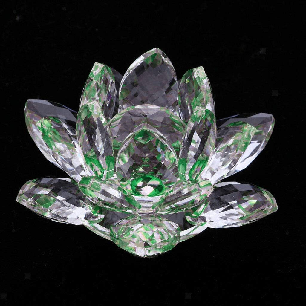 Buy Zoogamo 5 Green Crystal Lotus Flower Glass Home Decor For Feng Shui With Clear Reflection Gift Box Online In Indonesia B07z8ggc5z