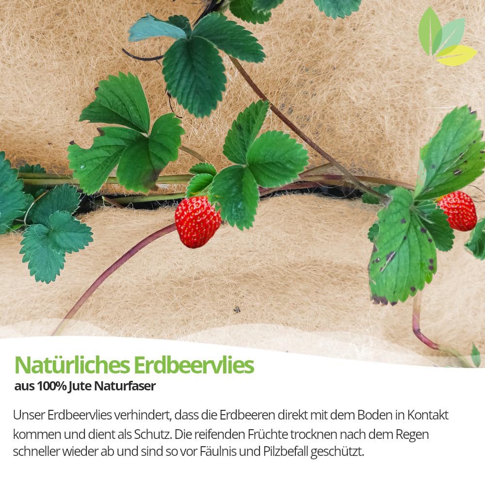 Włóknina truskawkowa ze 100% włókien naturalnych juty, biodegradowalna włóknina jutowa do rabatek truskawkowych (1,5 m x 5 m)