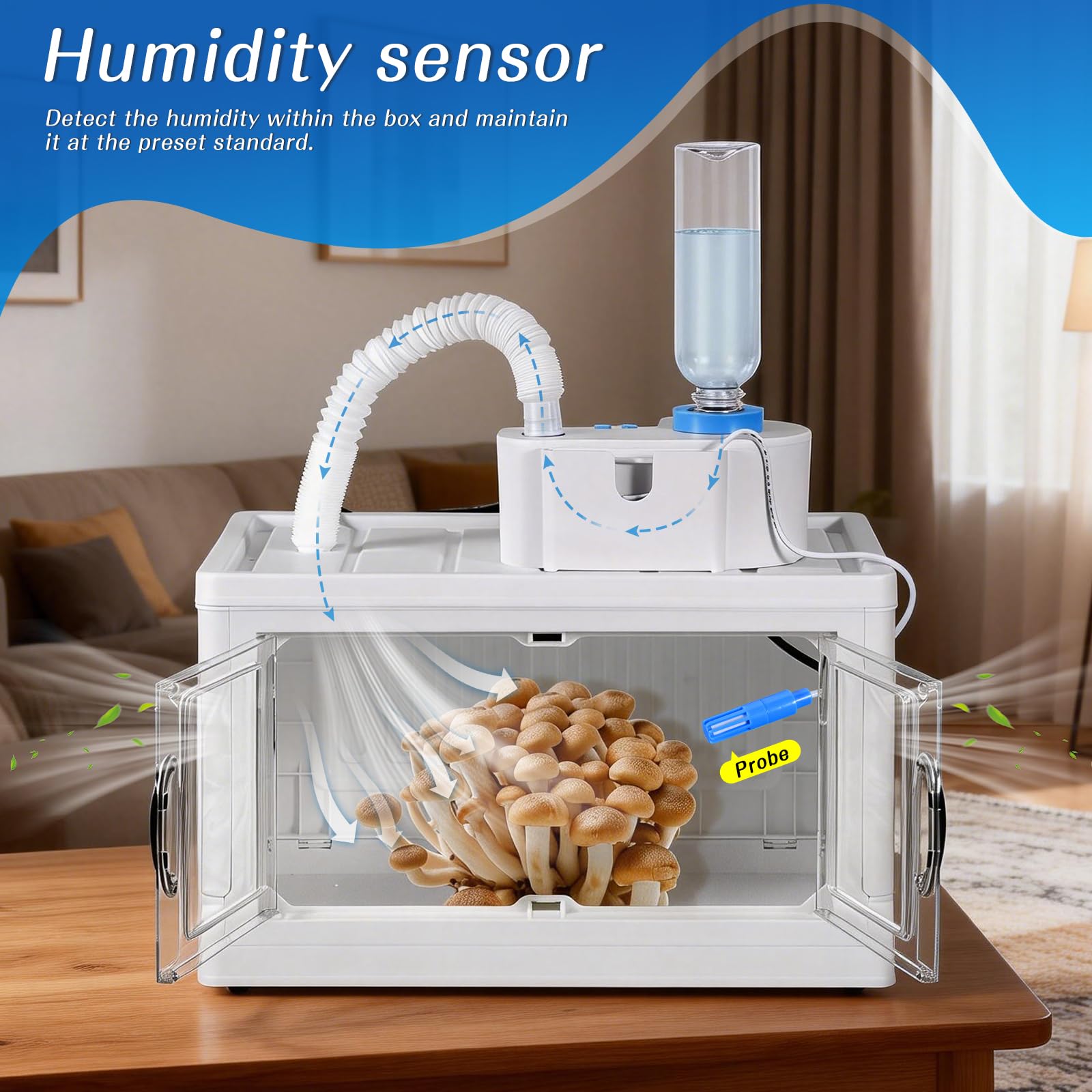 Boîte de culture de champignons avec affichage de l'humidité - Kit de pépinière de champignons - Kit de pépinière de champignons abordable pour champignons d'intérieur