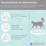 Ver la foto 6