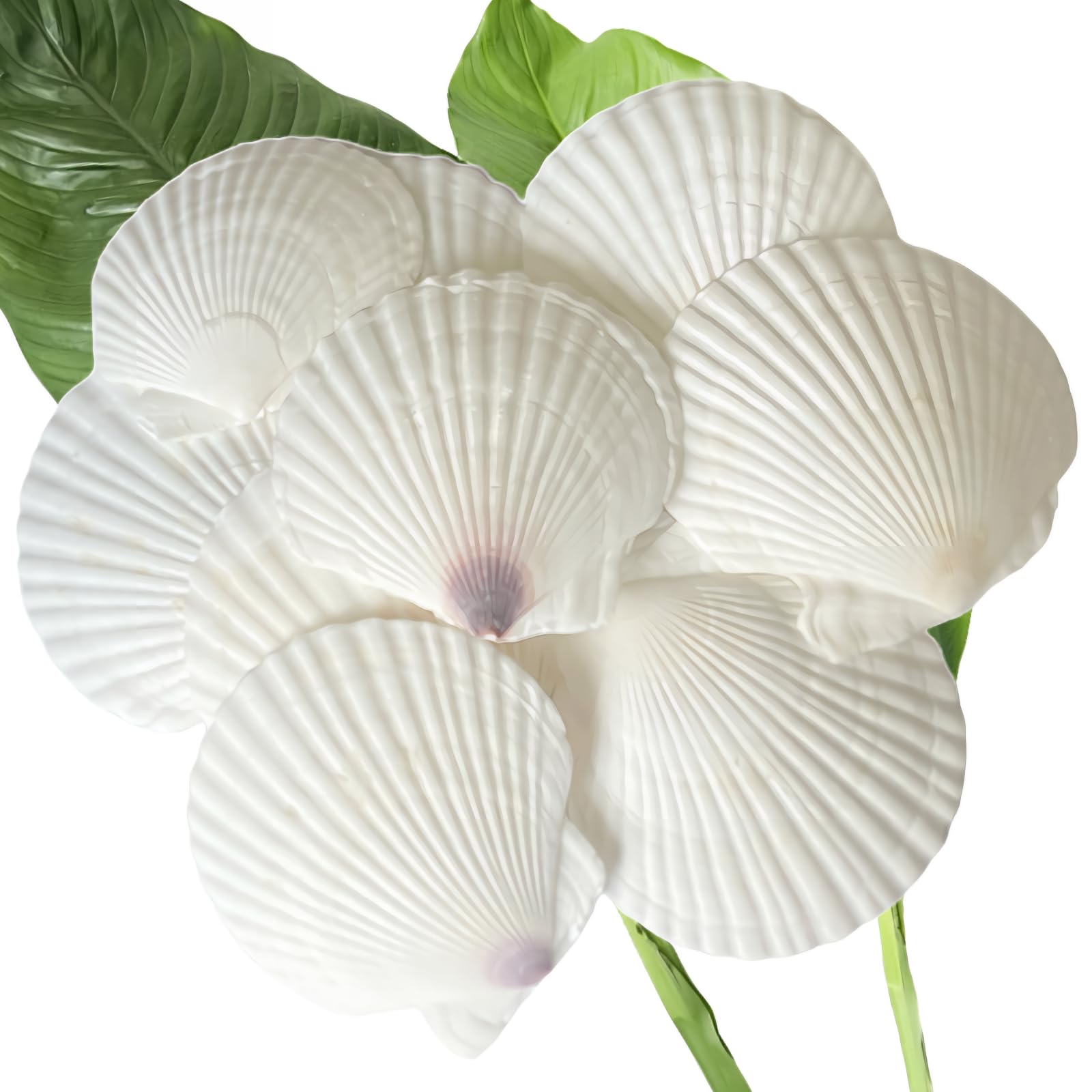 10Pcs Sea Shells White Scallop Shells - 4-5 inch Large Natural Seashells for Crafts, Baking, Cooking, DIY Projects - Ideal for Beach Decorations, Home Decor