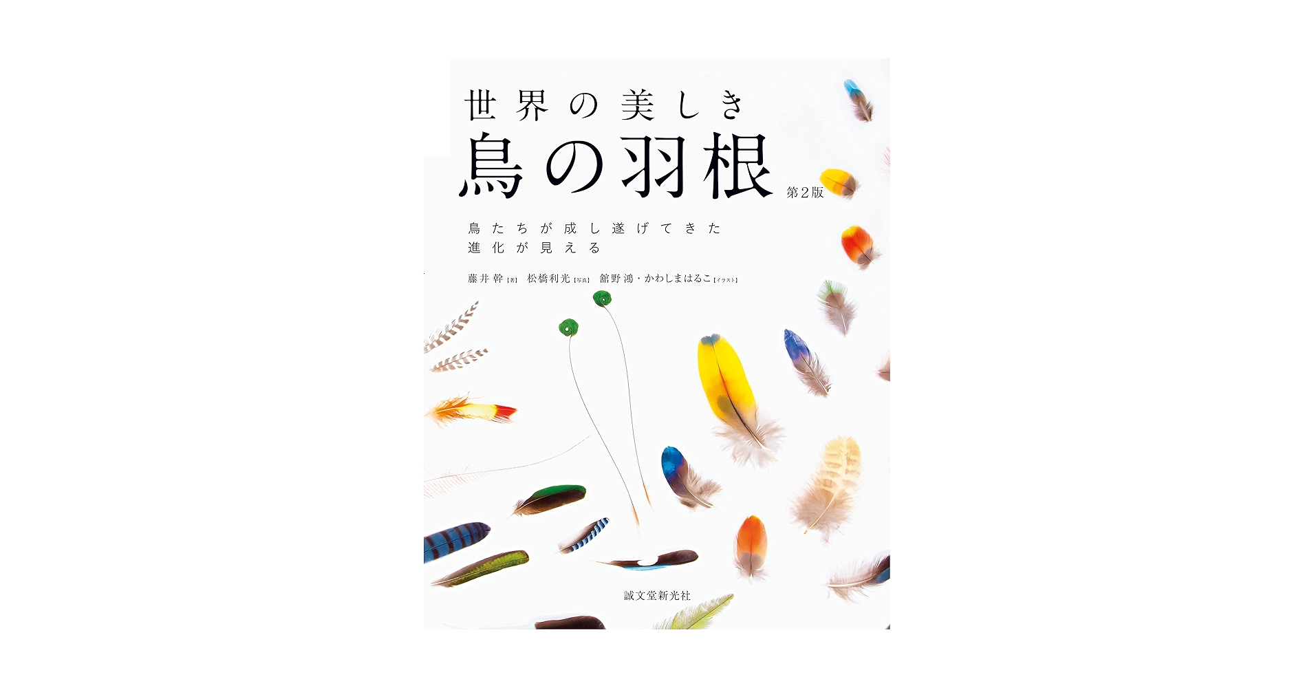 71PqHAvM3jL.jpg_BO30,255,255,