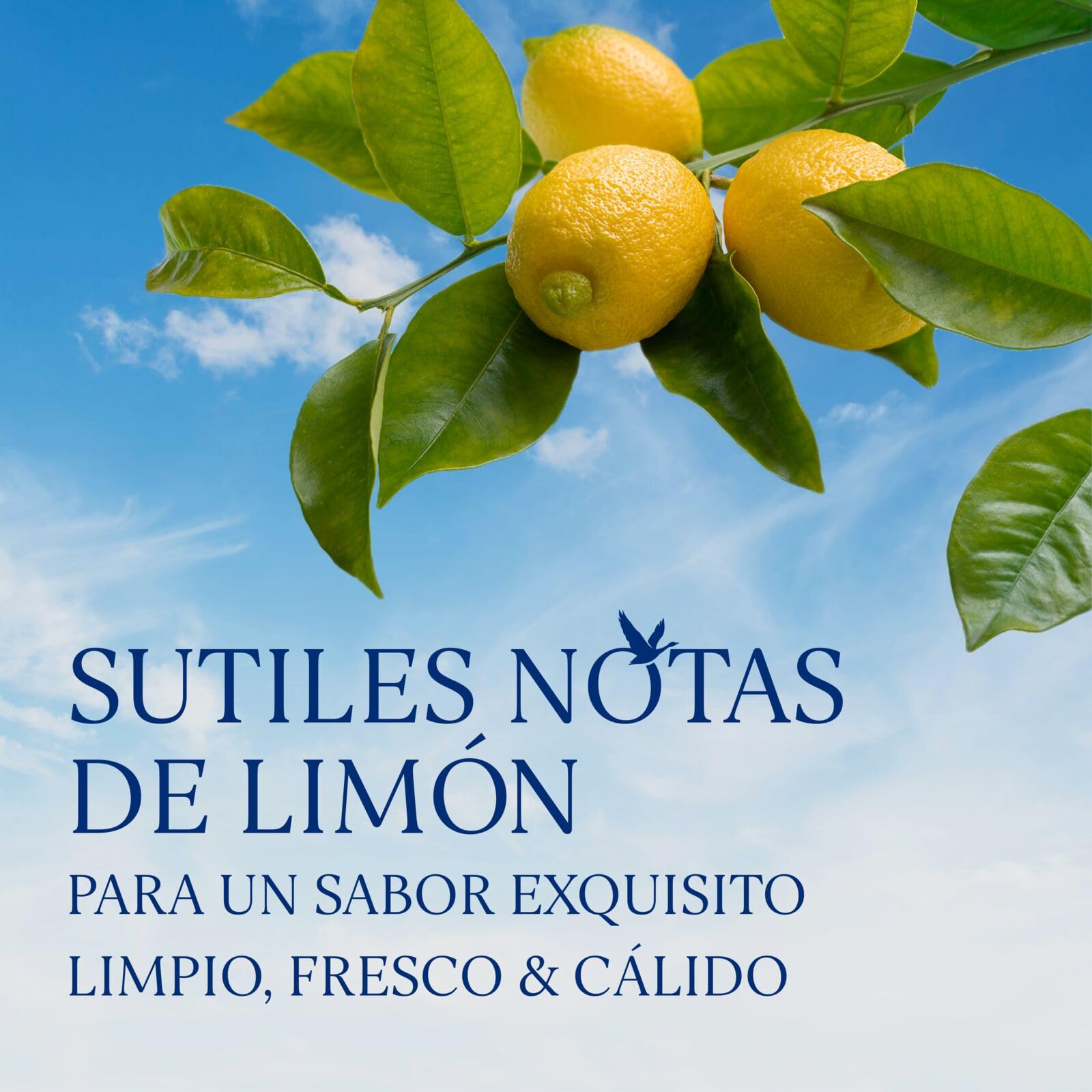 GREY GOOSE Le Citron, ALC. 40 %, 100 cl / 1 l, vodka francés de premium elaborado con vodka GREY GOOSE y con la esencia de limones de la región francesa de Menton