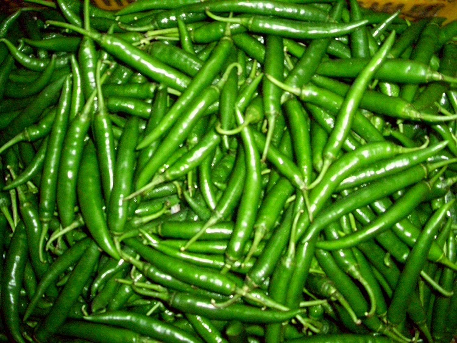 Gagan interprises, Chilli (Mirch) F-1 Hybrid Seeds (मिर्च के बीज) (60 G) (B0BCPGT3N4) Amazon Price History, Amazon Price Tracker