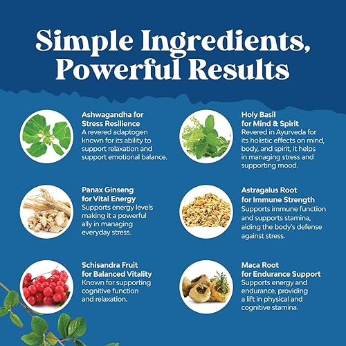 Miniatura 4 de Suplemento adaptógeno herbario para apoyar el estado de ánimo, suplemento de adaptógenos calmantes para el estrés y el control del cortisol con