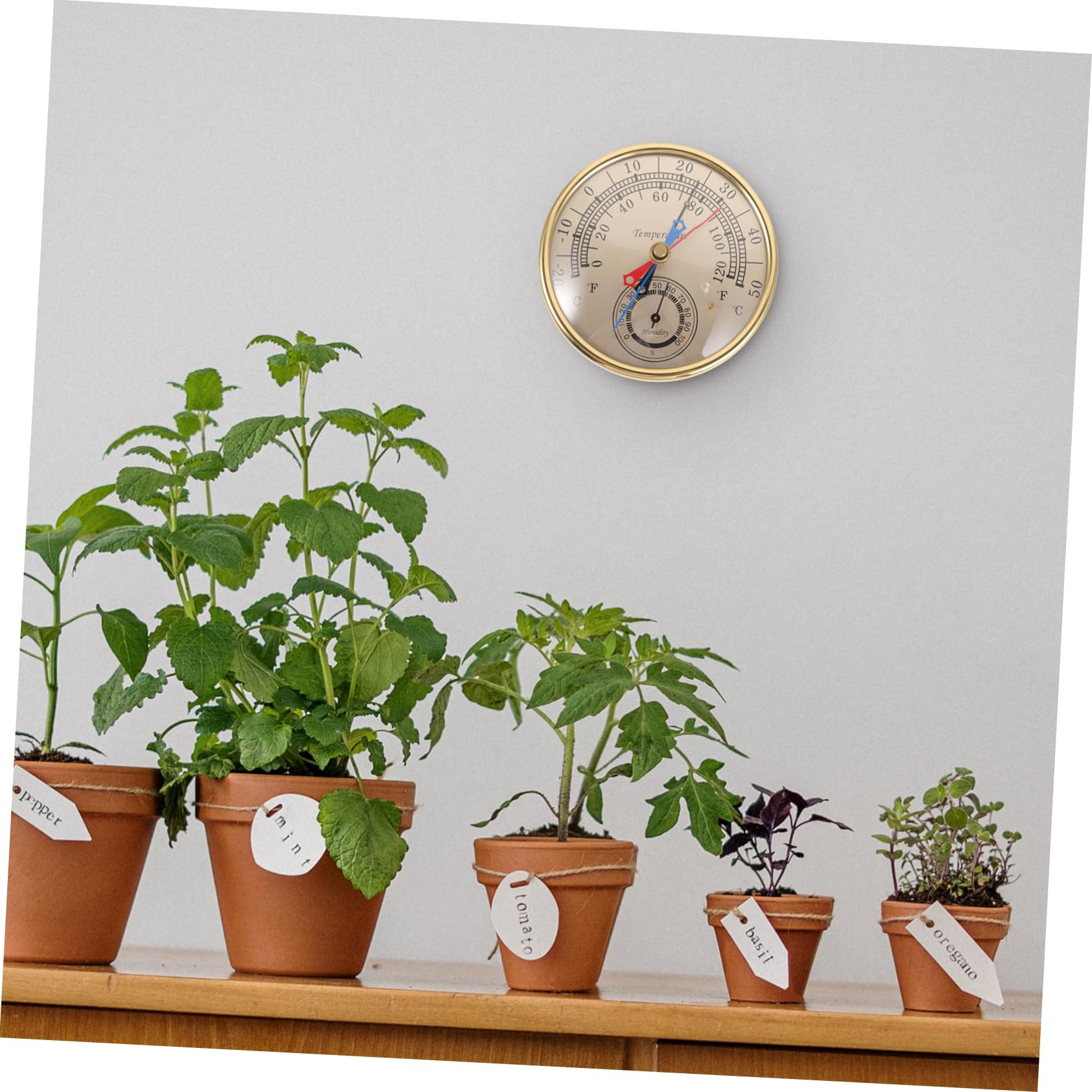 Toyvian 3 Pièces Thermomètre et compteur d'humidité hygromètre mural camping Parie d'humidité intérieure capteur météo thermomètre de pièce thermomètre intérieur Un verre