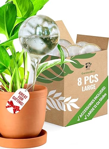 8 globos de riego de plantas grandes de plástico XL  Juego automático de agua para plantas incluye accesorios de plantas para macetas de interior y