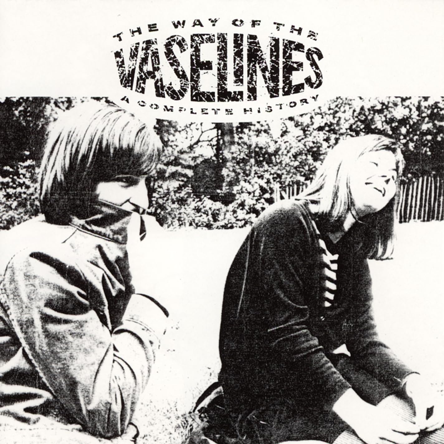 The Way Of The Vaselines [VINYL]