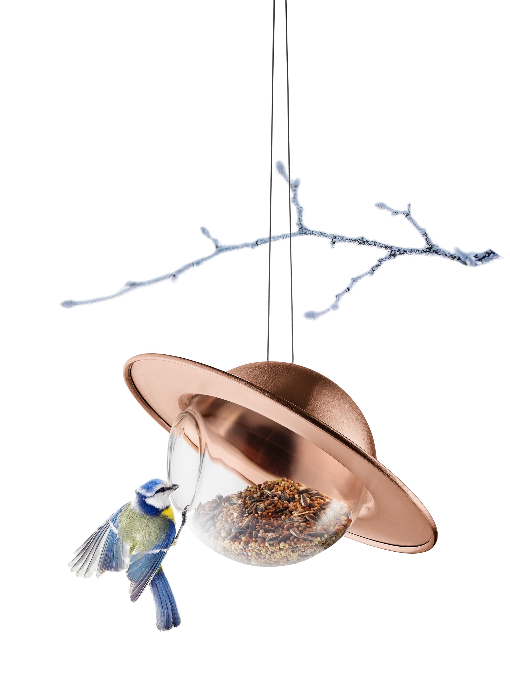 EVA Solo Saturn - Comedero para pájaros de Cobre, comedero con orbe de Vidrio Transparente y Techo Protector, Disfruta de pájaros de jardín Durante Todo el año, Resistente a Todo Tipo de Clima y bajo