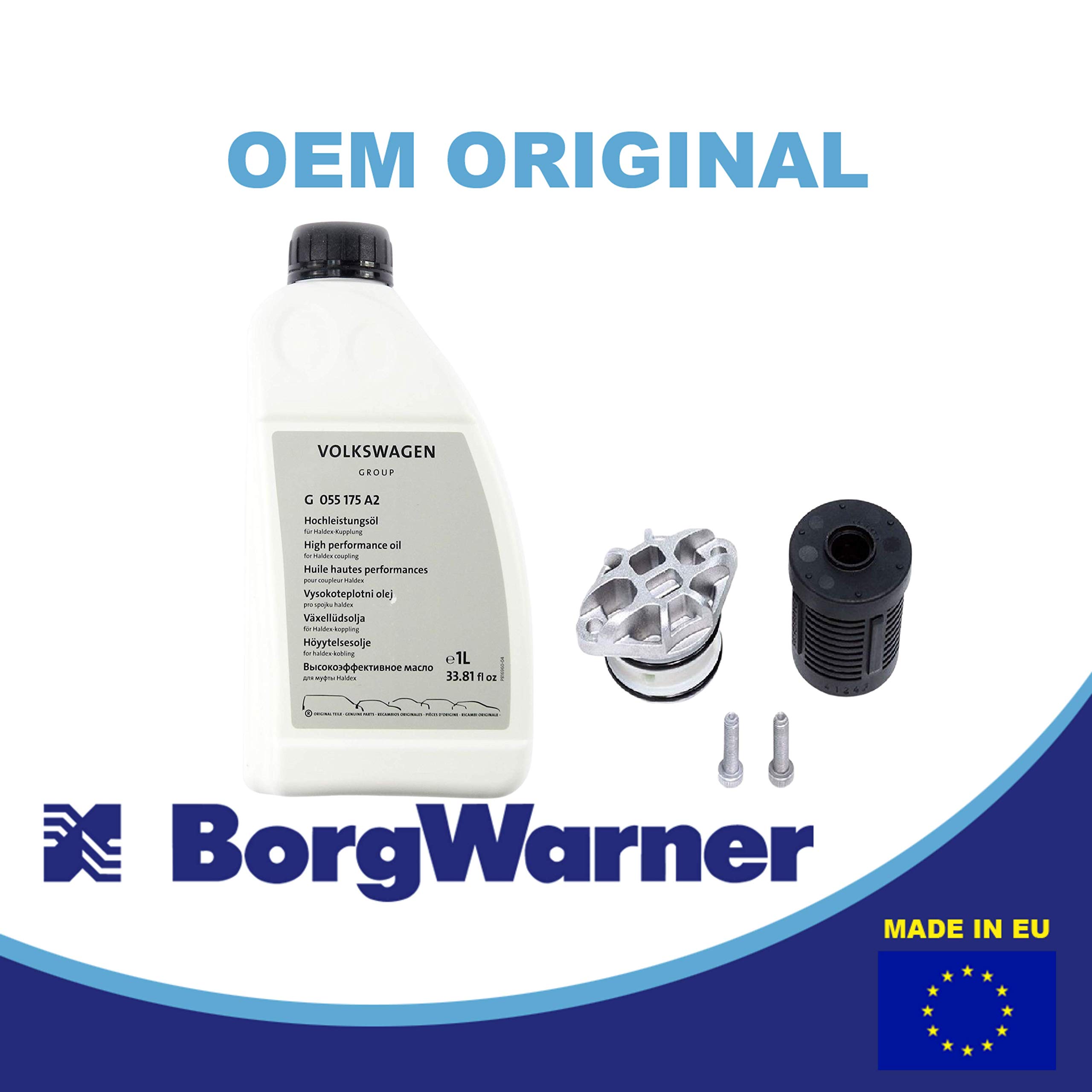 BorgWarner - FILTRO DE ACEITE + ACEITE, 111358 G055175A2