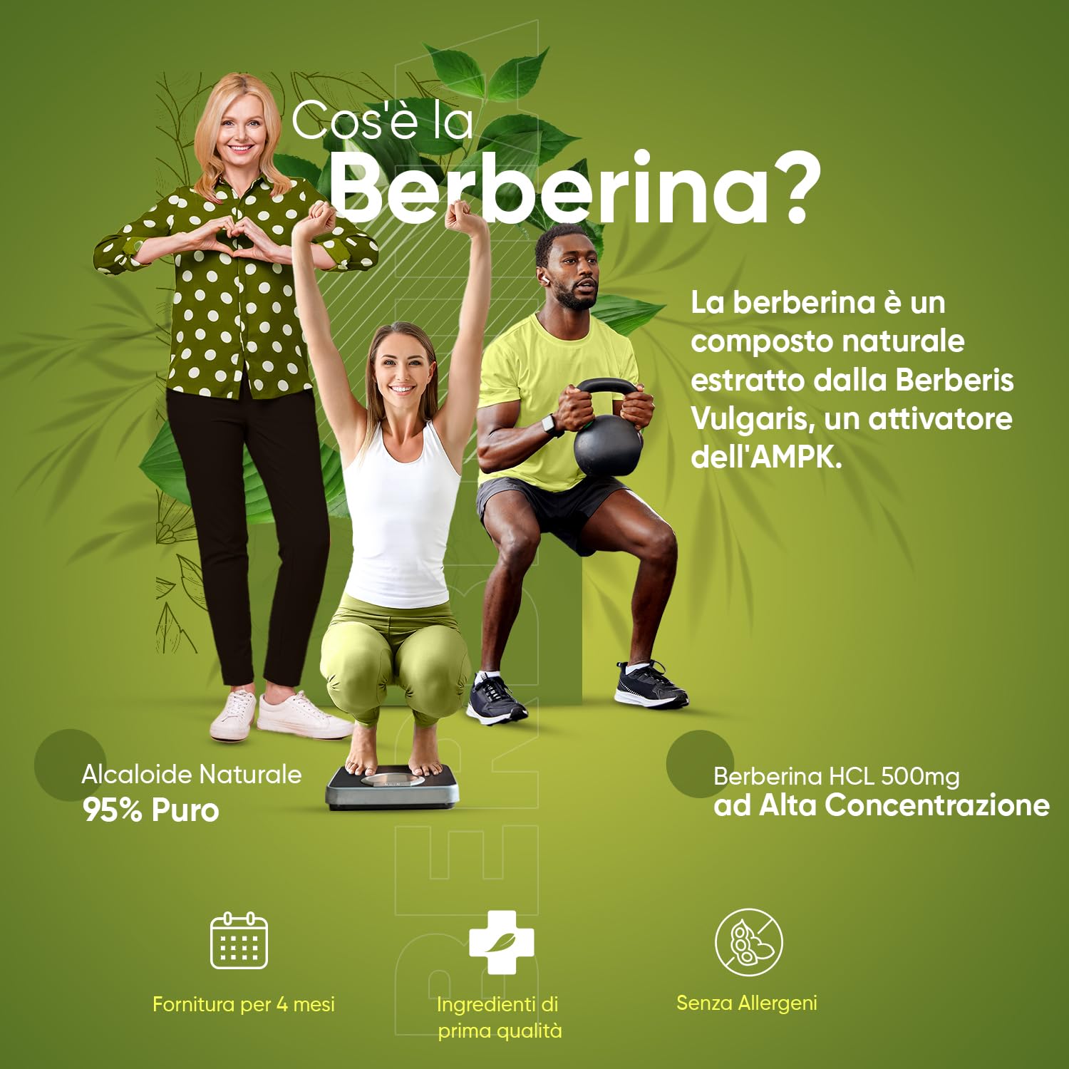 Berberina Alto Dosaggio, 120 Capsule Vegane (per 4 Mesi) di Pura Berberina HCL 95% da Berberis Vulgaris, Senza Magnesio Stearato, Berberina Integratore Senza Glutine né OGM, Integratore Berberina