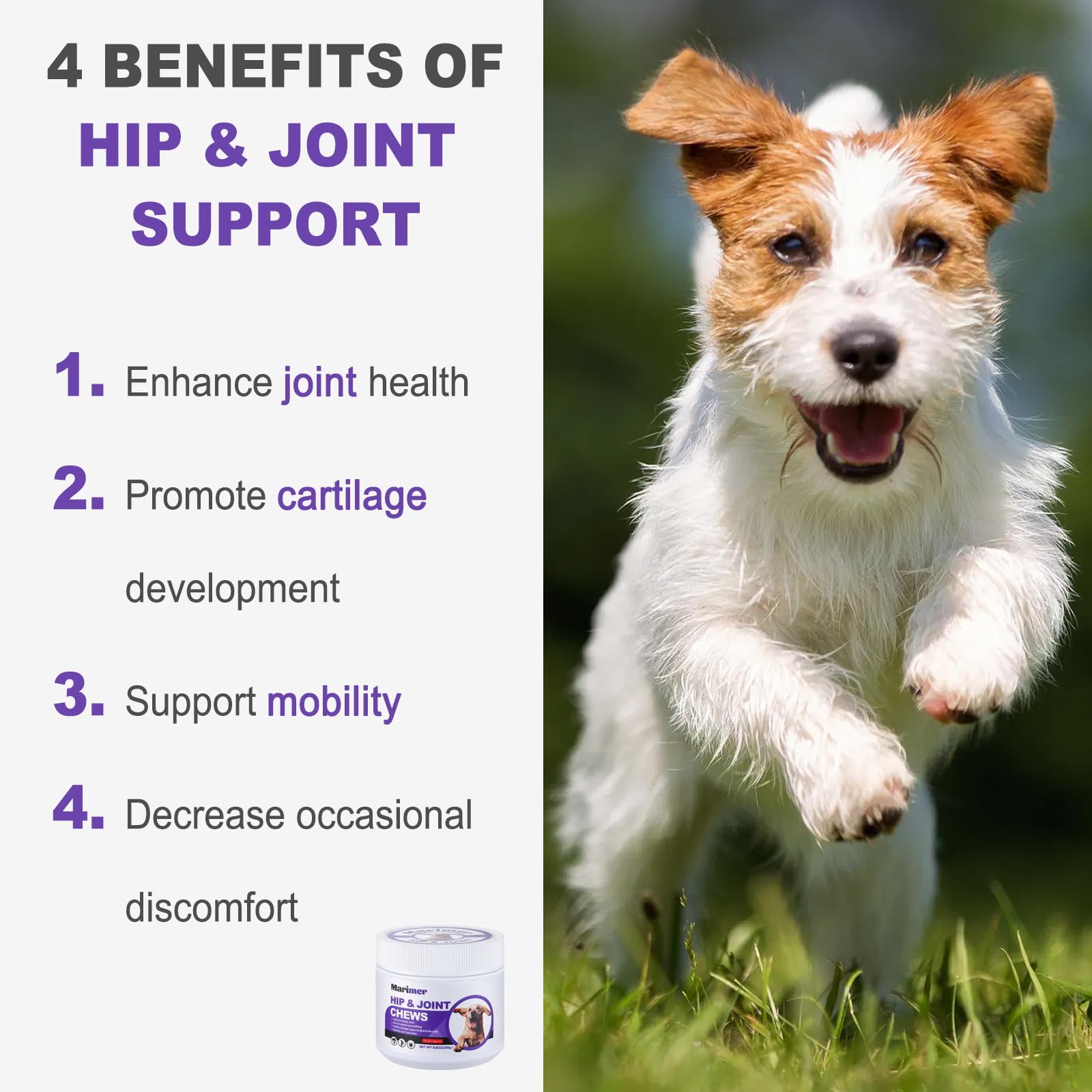 Hip & Joint Chews for Dogs – Glucosamine, MSM, Chondroitin, Turmeric & Omega-3 – Mobility Chews for Dogs with Green Lipped Mussel & Eggshell Membrane – Chicken Flavor – 100 Soft Chews - image 2