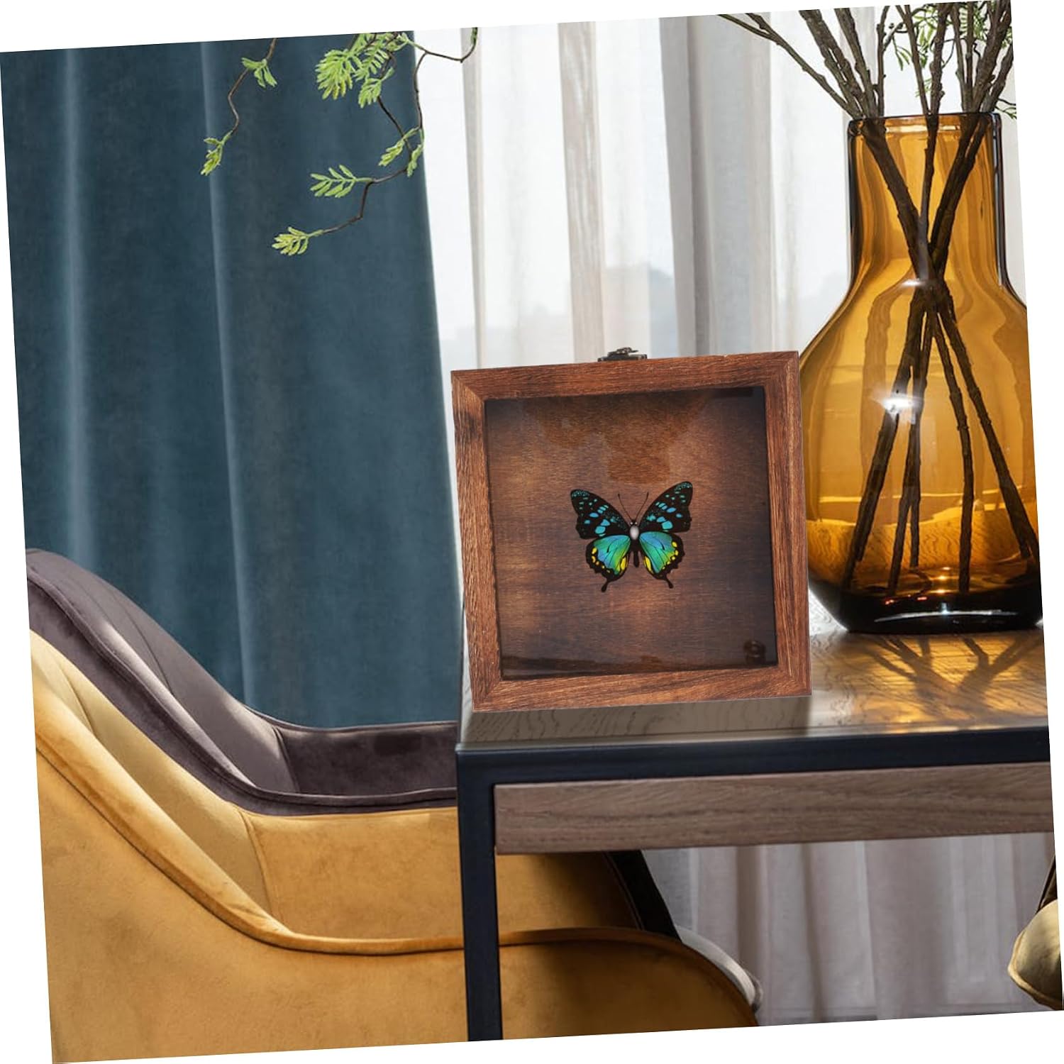 Retro Wooden Insect Display Box Bug Specimen Holder Shadow Box for Entomology Collection