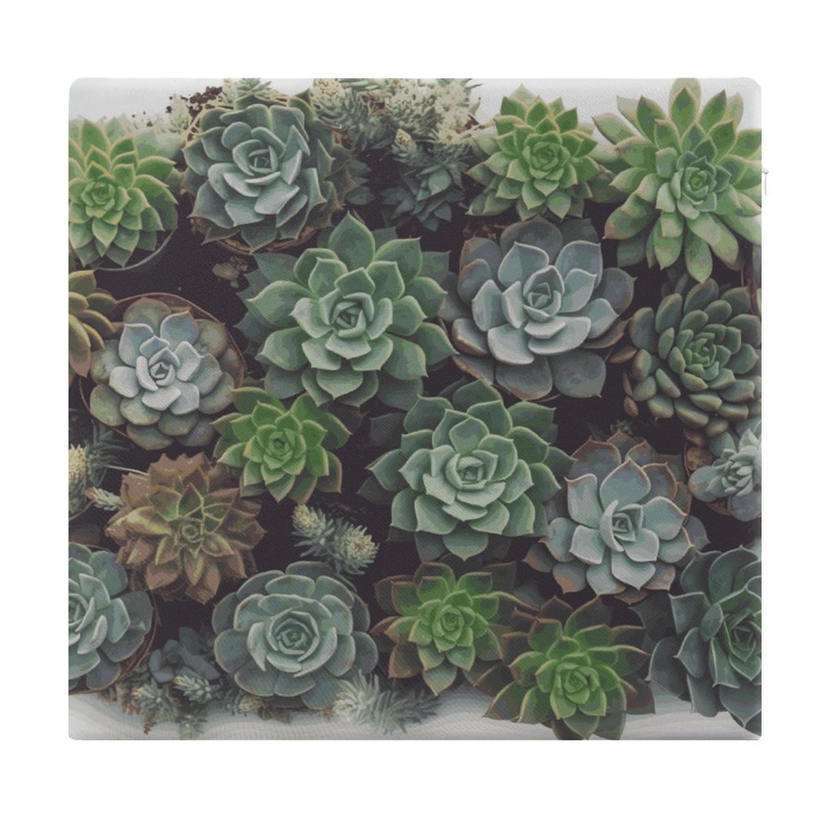 Adfgyerh Style Succulent Plants Cushions Memory Foam For Adults, Seat Cushion Chair Pads Soft, Square Pillows For Dining, Kitchen, Office, Patio Chairs