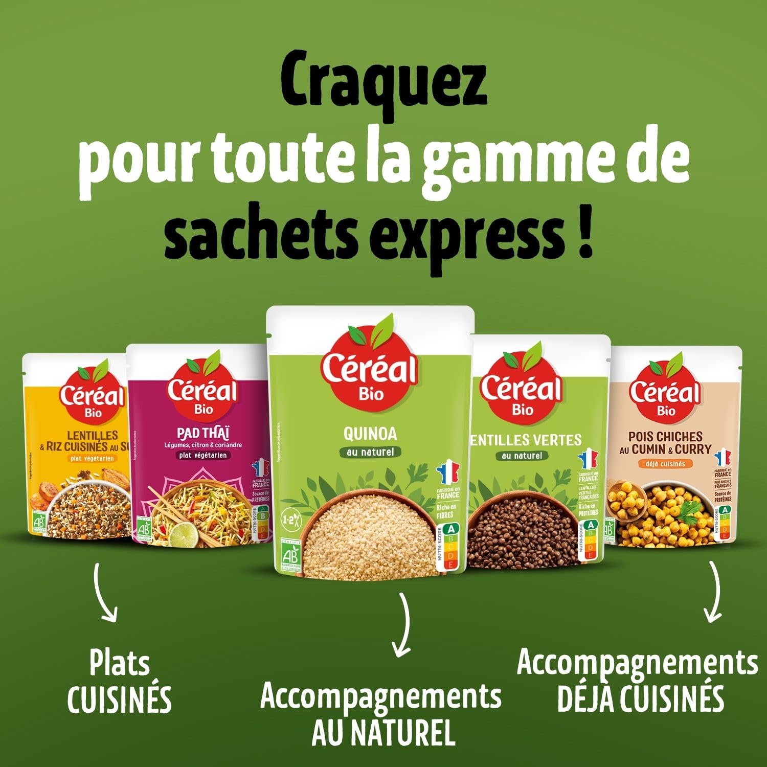 CÉRÉAL BIO – Quinoa, Boulgour & Tofu au Curry, Lot de 10 – 220 g