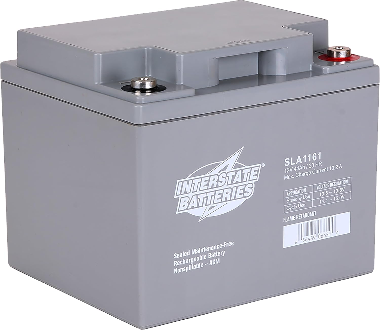 Interstate Batteries 12V 44Ah Battery (Insert Terminal) SLA AGM VRLA Rechargeable Replacement for UPS Backup Power, Fire & Security, Emergency Lighting (SLA1161)