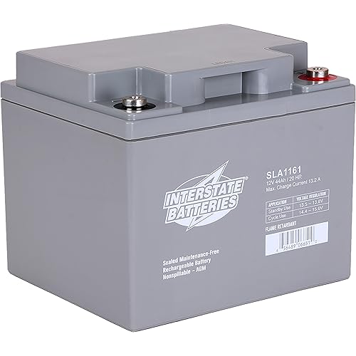 Interstate Batteries 12V 44Ah Battery (Insert Terminal) SLA AGM VRLA Rechargeable Replacement for UPS Backup Power, Fire & Security, Emergency Lighting (SLA1161)