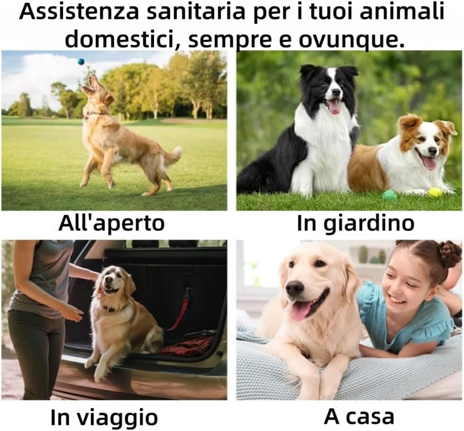 Zampalife Salviette Dentali Adatto a Cani e Gatti, Riduce Il Tartaro, Elimina Alito Cattivo e Alito Fresco (1 Scatola)