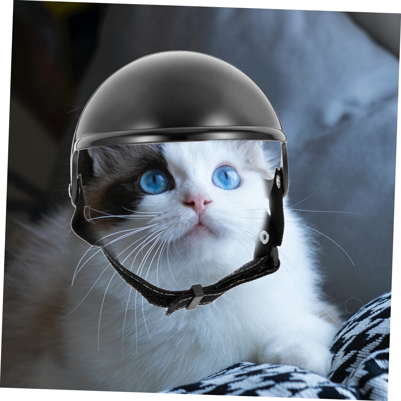 Sosoport 2stücke Pet Helm Für Hunde Sicherheitshelm Für Kleine Hunde Und Katzen Verstellbare Hundekappe Mit Lustiges Hundezubehör Für Outdoor-aktivitäten Leicht Und Tragbar Für