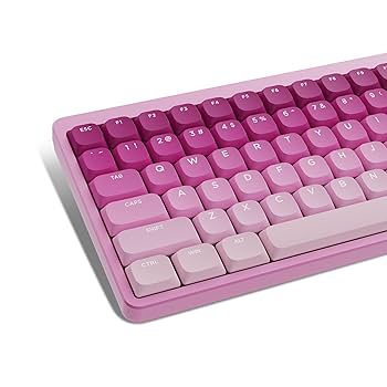 かーくん ロープロ版 roBa オプション かーくん様専用 ロープロ版 roBa オプション ism