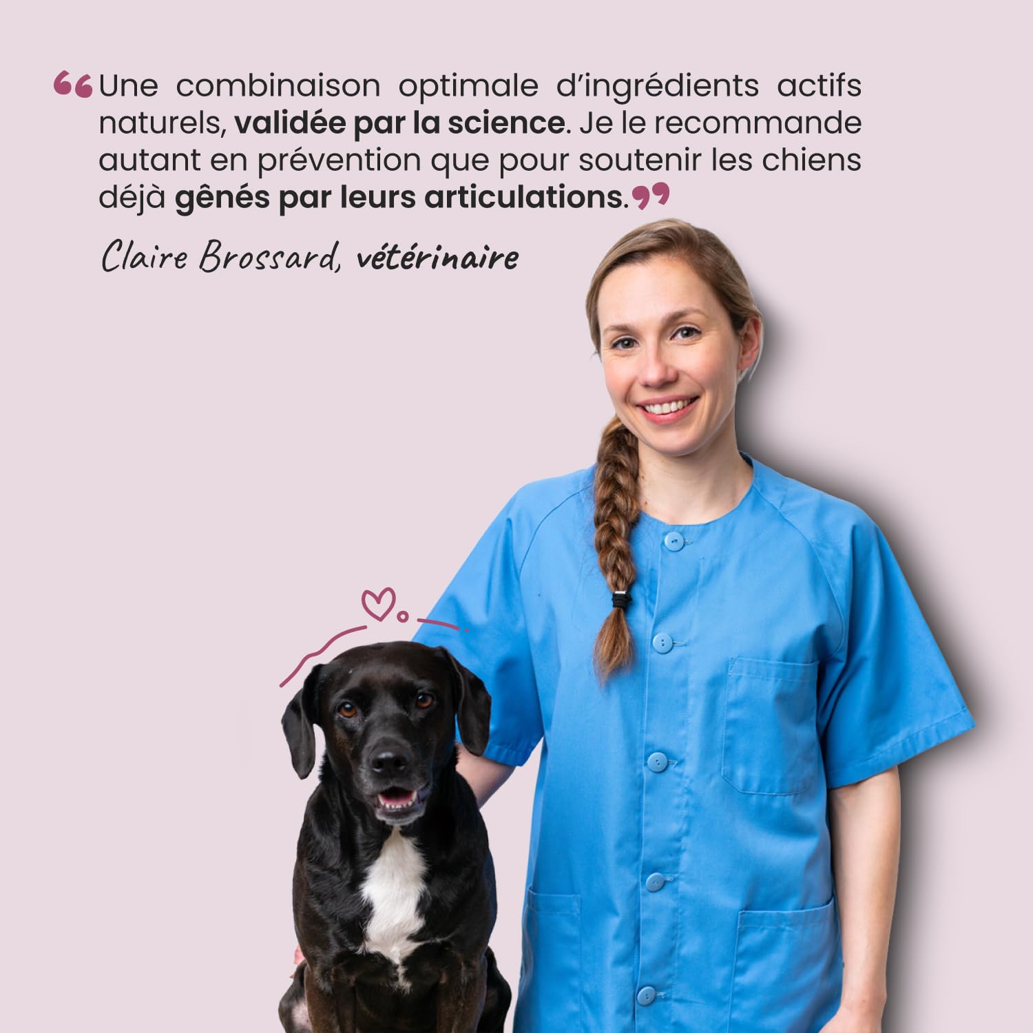 Articulations Chien Chat - Complément Alimentaire Anti-Arthrose - Harpagophytum Glucosamine Chondroïtine MSM Krill - Mobilité & Souplesse - Formulé par des Vétérinaires - Fabriqué en France