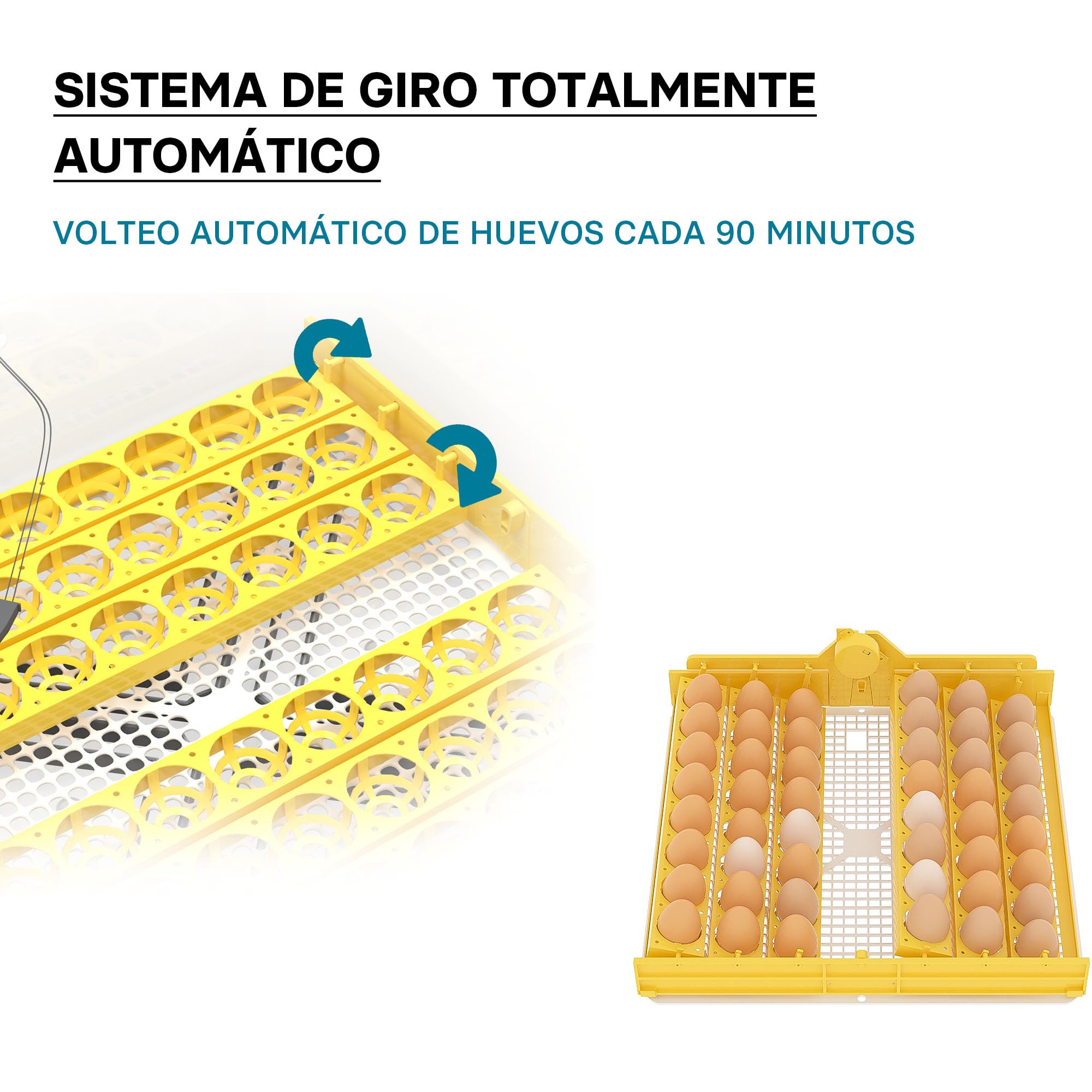 Incubadora automática capacidad para 48 huevos de gallina y 4 ventanas observación, pato, codorniz