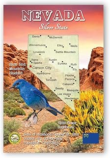 NEVADA MAP postcard set of 20 identical postcards. NV state map post cards. Made in USA.