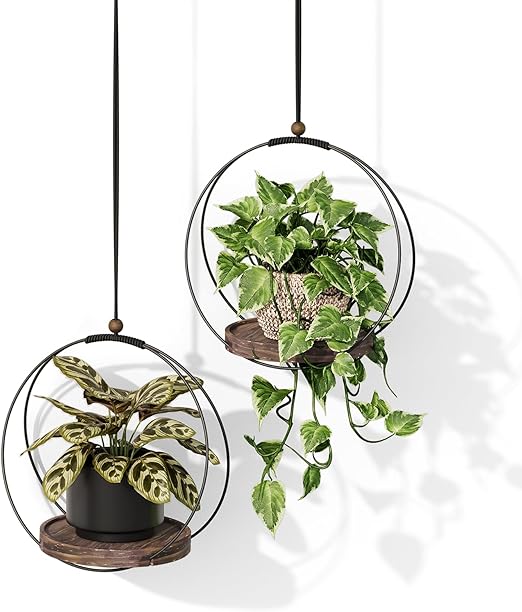 Bamworld Plant Hangers Indoor Wall Plant Holders Hanging