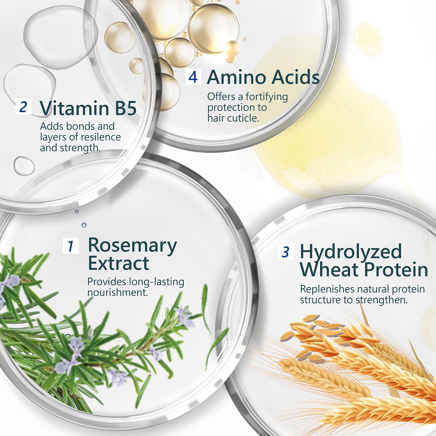 SH-RD Nutra-Therapy Shampoo for Dry, Damaged, Color-Treated, Frizzy & Bleached Hair | Repair Treatment with Proteins for Split Ends & Moisture | Sulfate-Free - 8.45oz/250ml - Image 4