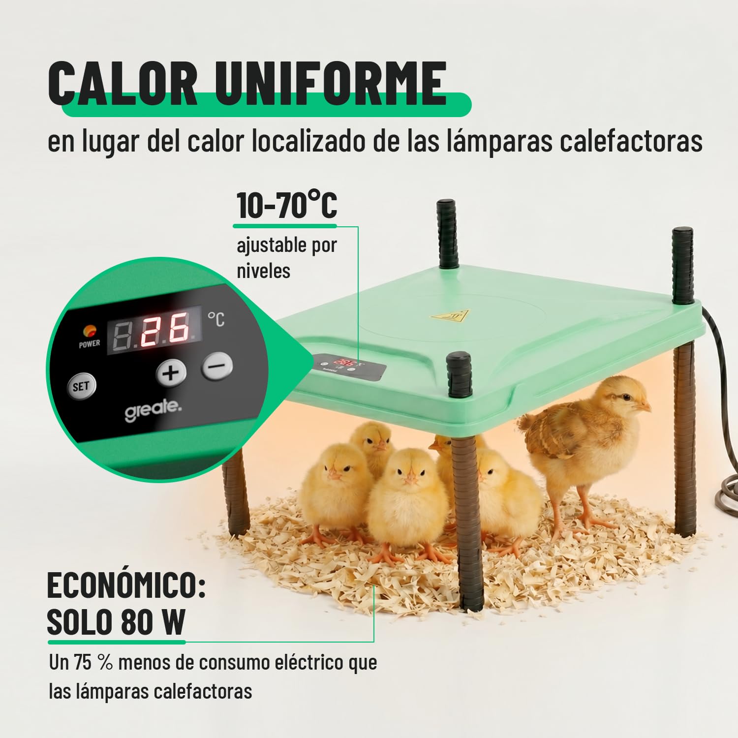 greate Criadora de Pollitos 80 W regulable 10-70 °C con pantalla LED - Calentador para Pajaros altura regulable 30 x 30 cm