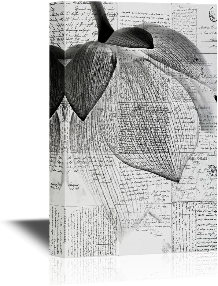 Amazon.com: wall26 Black and White Canvas Wall Art - Lotus Flower Petal ...