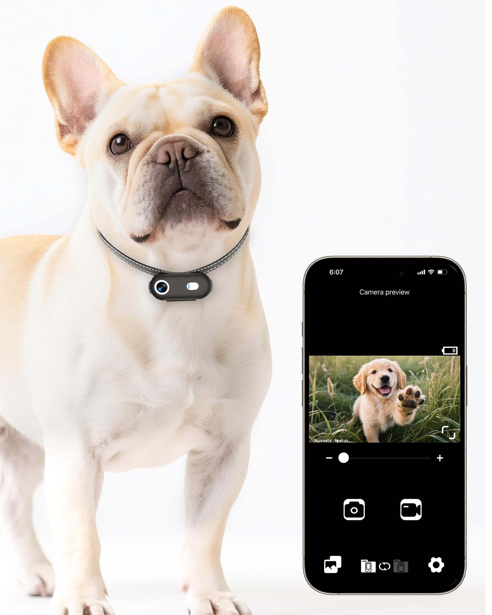 Collare per fotocamera per cani e gatti con app per telefono, registrazione video HD 1080p, telecamera POV per animali domestici XS/M, per cani e gatti grandi, telecamere senza fili con