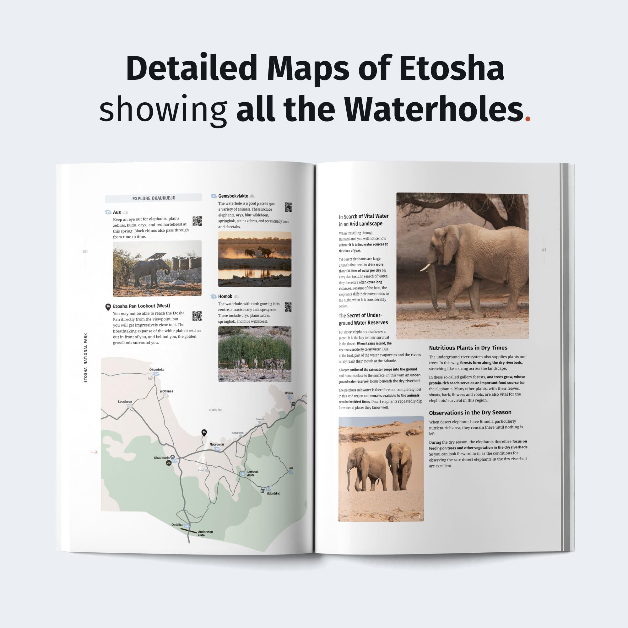 WILDFUL STORIES Namibia Travel Guide with Etosha National Park: Detailed Park Maps for Self-Drivers with Specific Spots and Drives for Unforgettable Wildlife Encounters