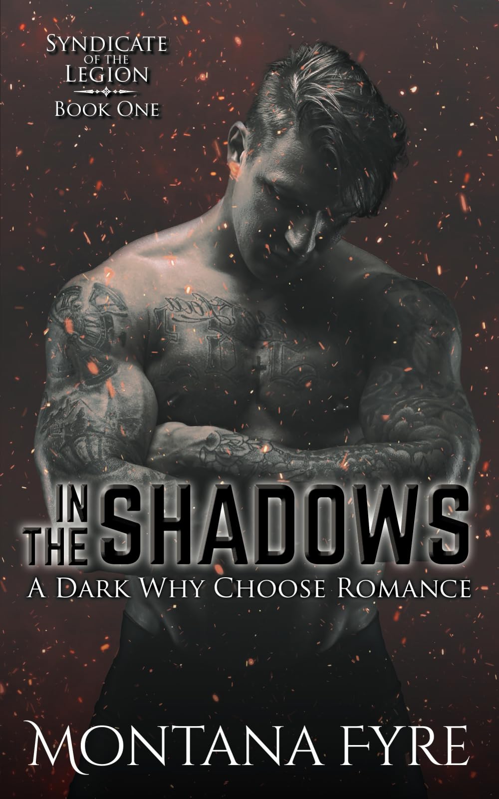 In the Shadows: A Dark Why Choose Romance (Syndicate of the Legion)