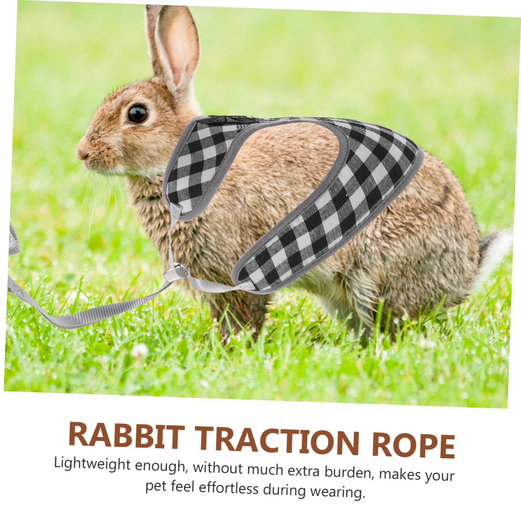 FRCOLOR 4sätze Kaninchen Geschirr Mit Leine Verstellbares Bunny Kostüm Für Haustiere Für Fotoshootings Und Besondere Anlässe Bequem Und Stylisch Für Kleine Tiere