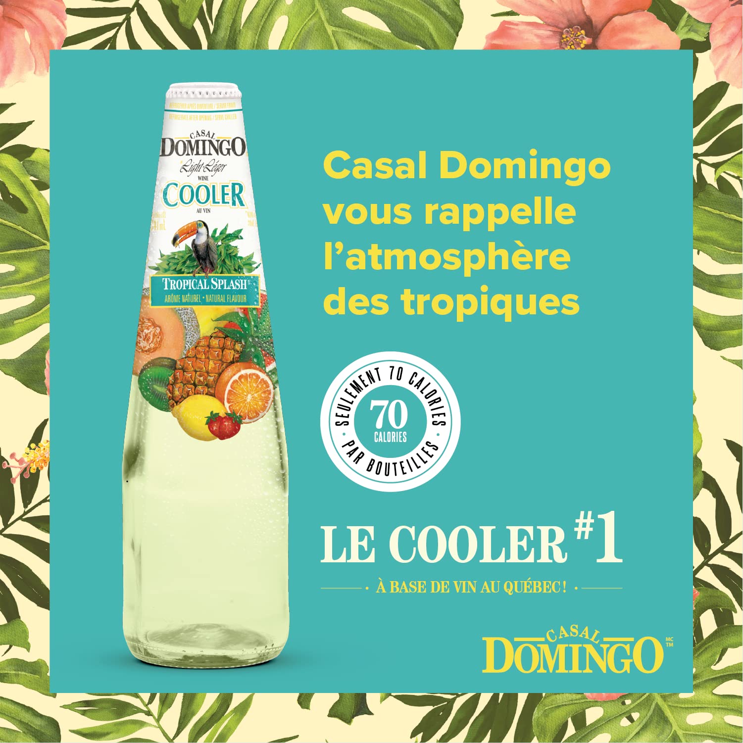 Casal Domingo Tropical Splash, 24 Count : Amazon.ca: Grocery